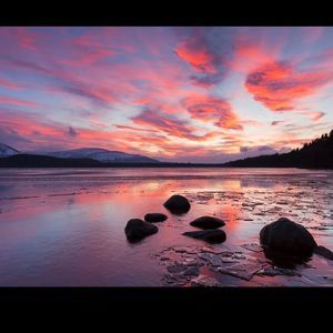 Meet your Posher, Kaye